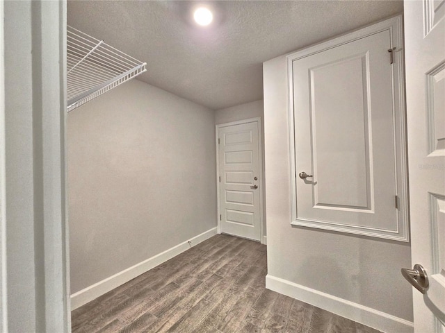 spacious closet featuring dark wood-style floors