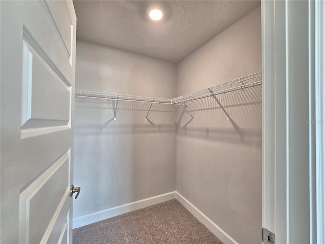 walk in closet with carpet floors