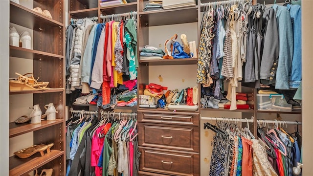 view of walk in closet