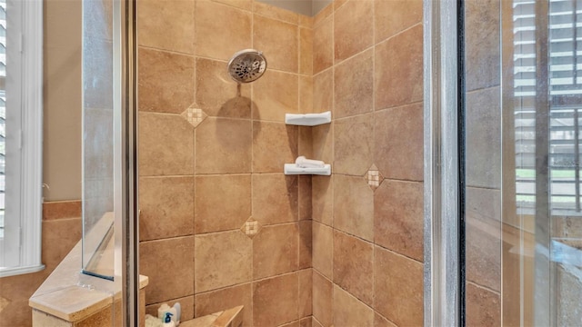 interior details featuring an enclosed shower