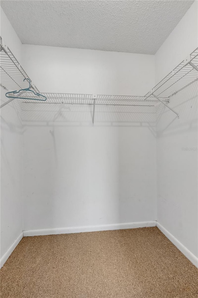 spacious closet with carpet floors