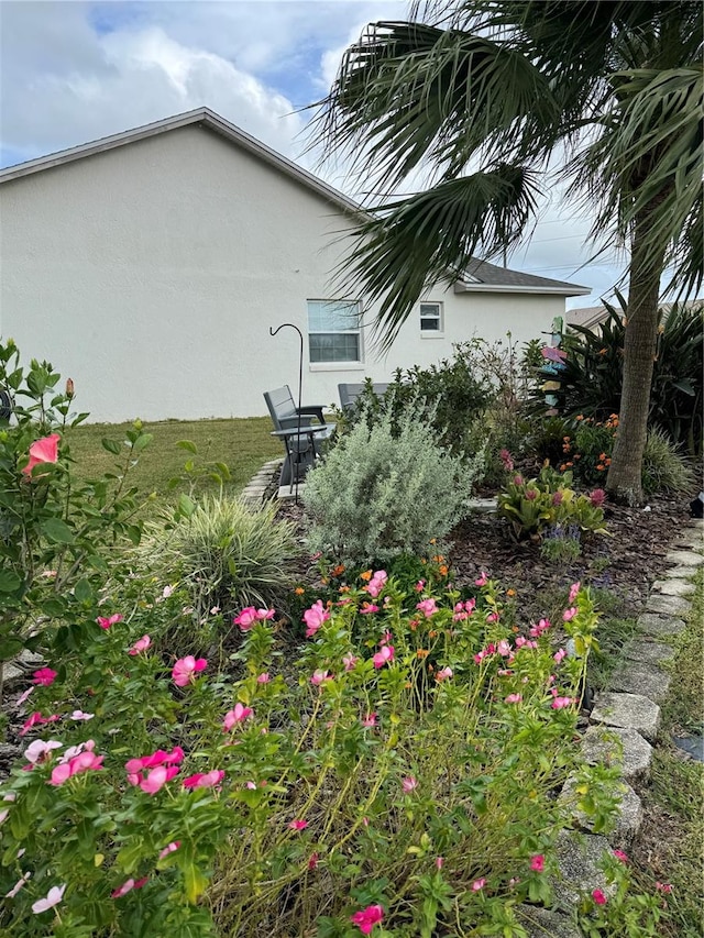 view of property exterior featuring stucco siding