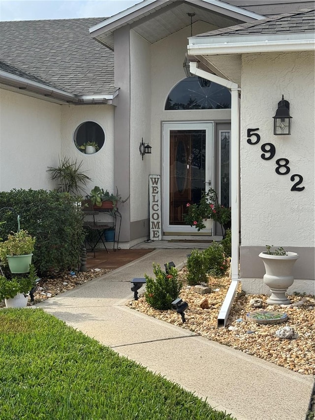 doorway to property featuring roof with shingles and stucco siding