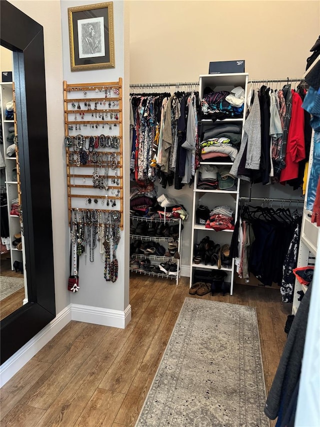 spacious closet with hardwood / wood-style flooring