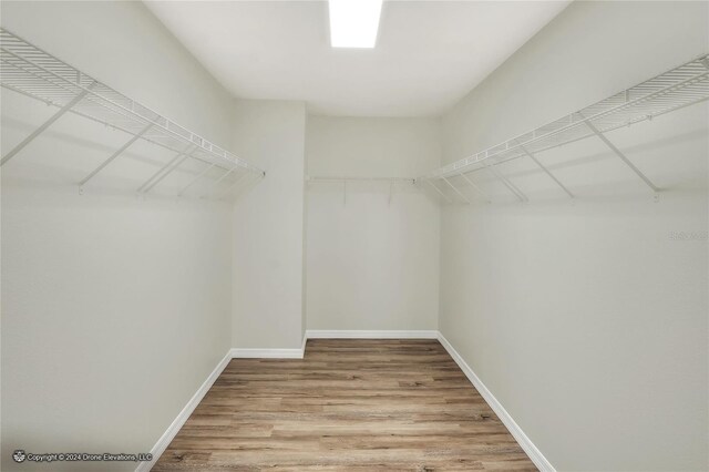 spacious closet featuring hardwood / wood-style flooring