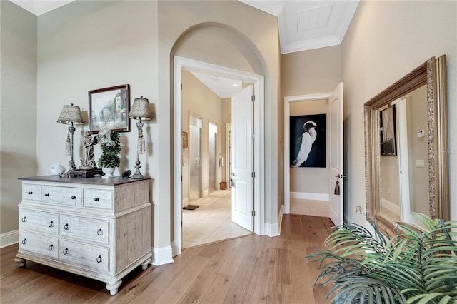 hallway with light hardwood / wood-style floors and crown molding