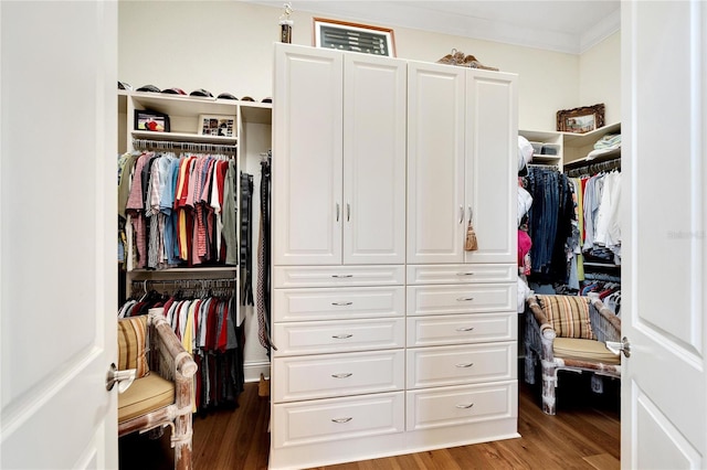 walk in closet featuring hardwood / wood-style floors