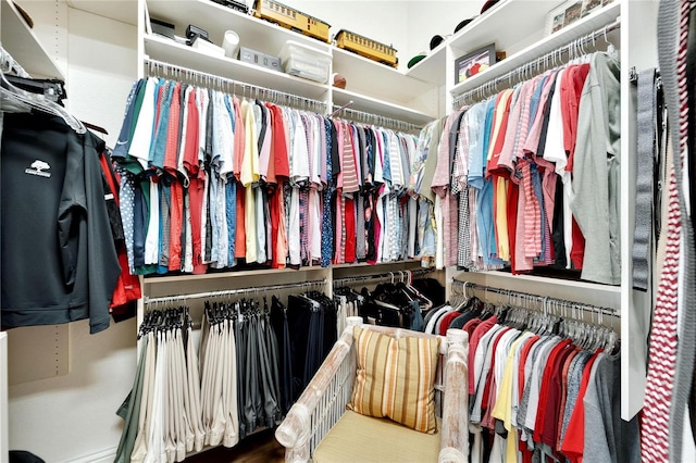 view of spacious closet