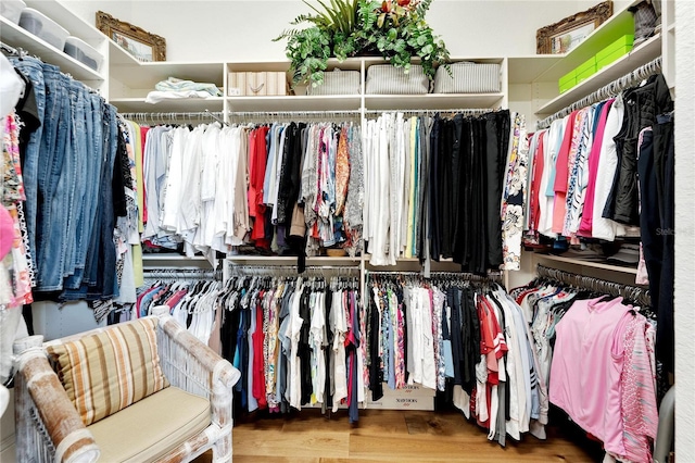 walk in closet with wood-type flooring