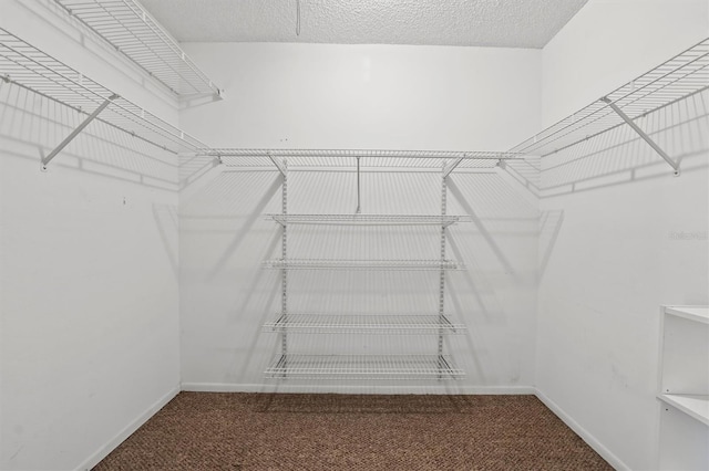 spacious closet featuring carpet floors