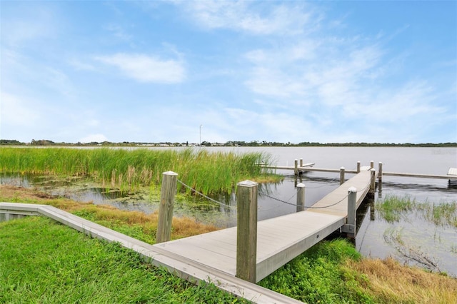 dock area featuring a water view