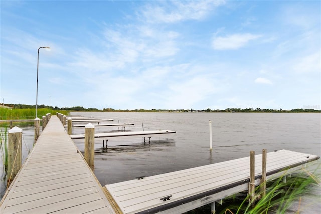 dock area featuring a water view