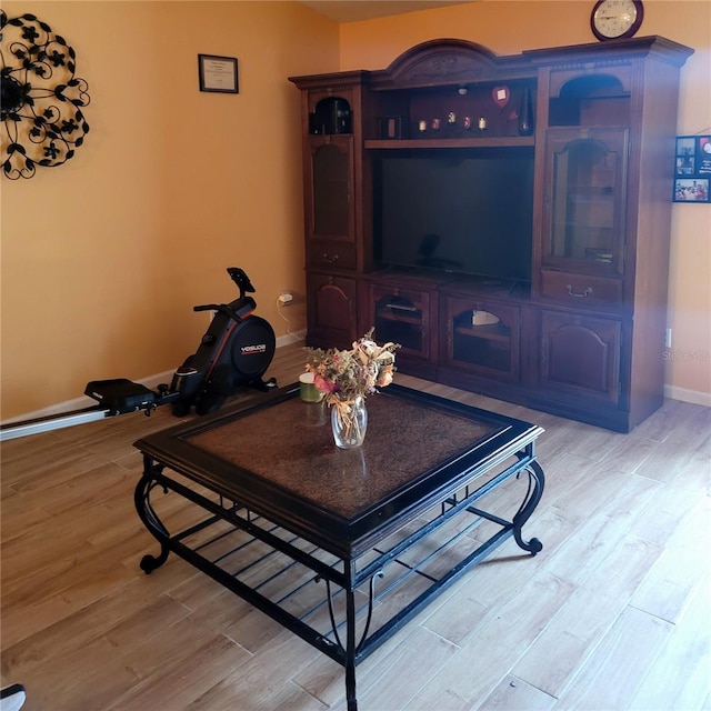 living room with light hardwood / wood-style flooring