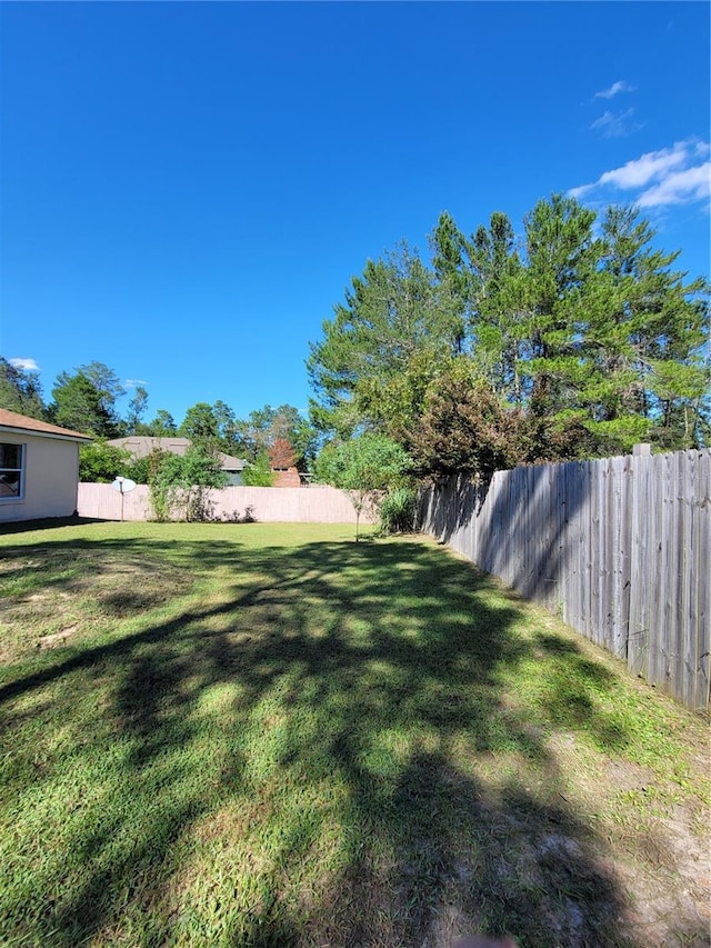 view of yard