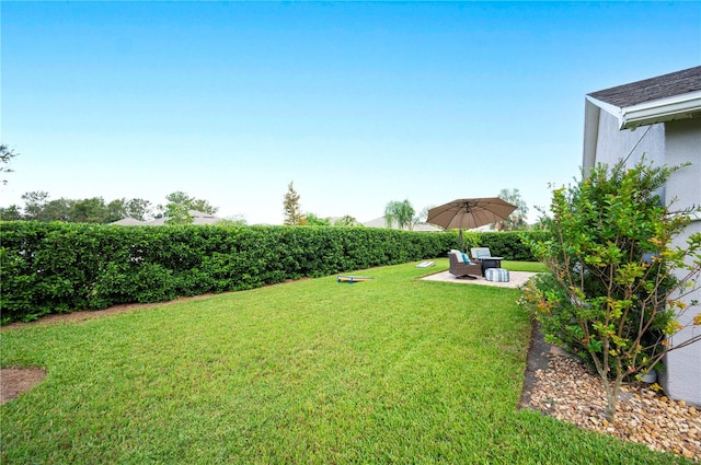 view of yard with a patio area