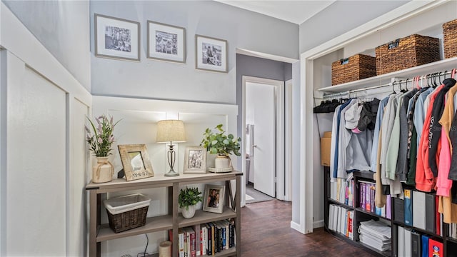 hall featuring dark wood-type flooring