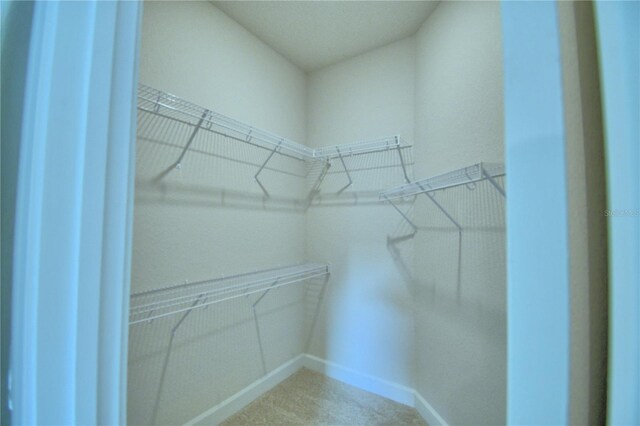 walk in closet with carpet floors