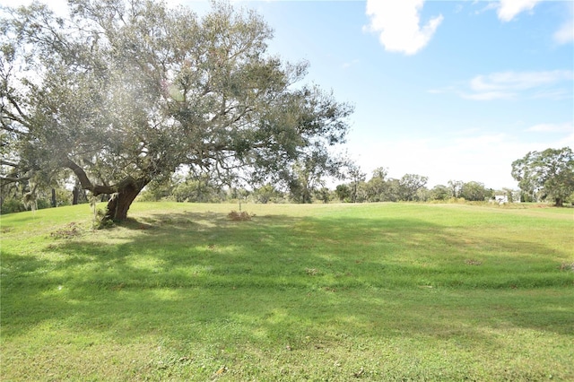 view of yard featuring a rural view