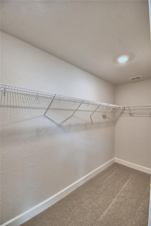 spacious closet with carpet flooring