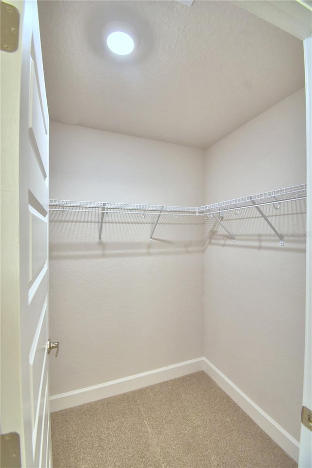 walk in closet featuring carpet flooring