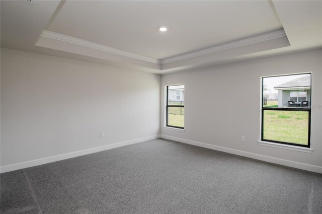 empty room with carpet, ornamental molding, and a raised ceiling