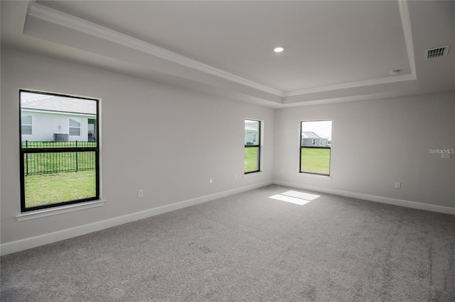 carpeted empty room with crown molding and a raised ceiling