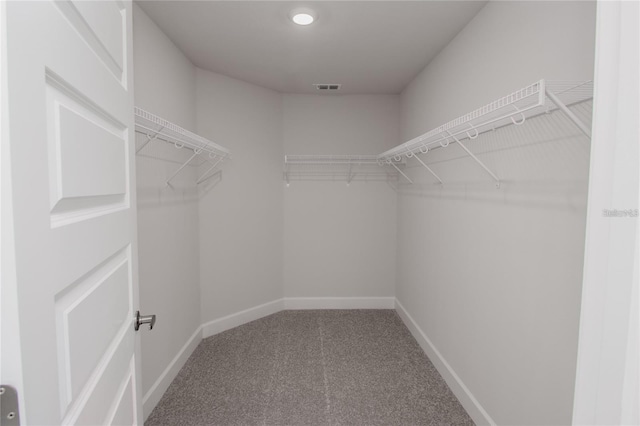 view of spacious closet