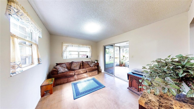 living room with a textured ceiling