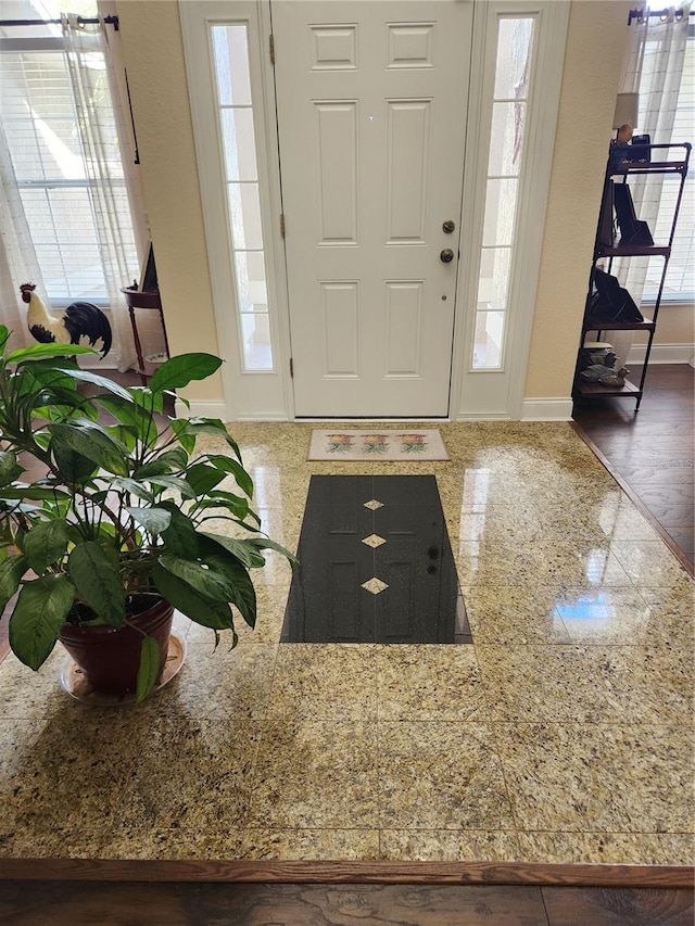 foyer entrance featuring dark hardwood / wood-style floors