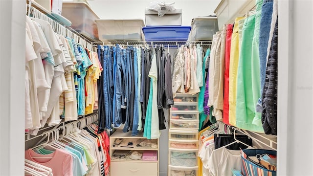 view of walk in closet