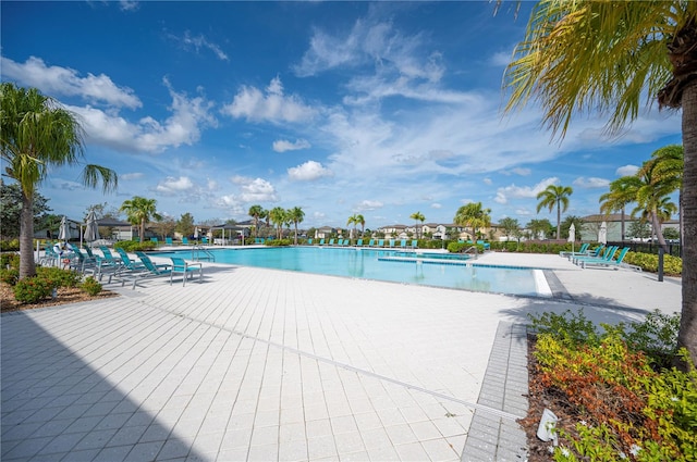 view of pool featuring a patio area