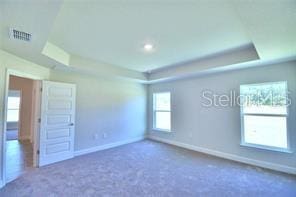 carpeted spare room featuring plenty of natural light and a raised ceiling