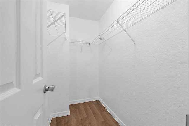 walk in closet featuring wood-type flooring