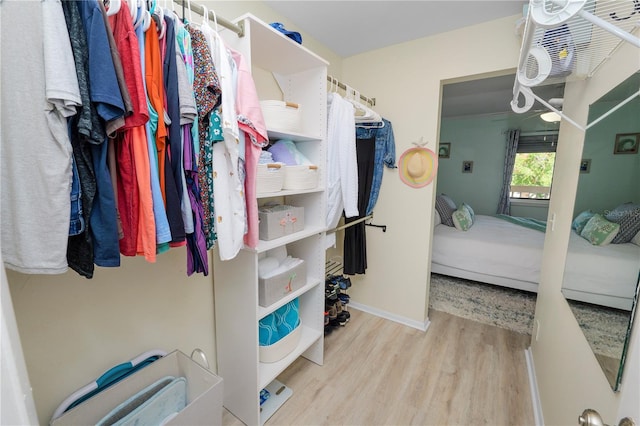 walk in closet with light wood-type flooring