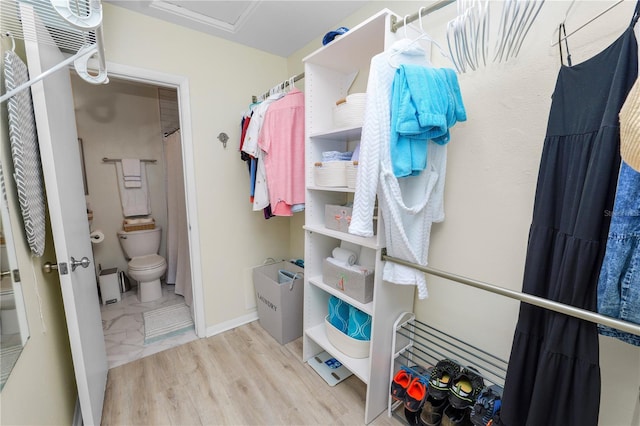 spacious closet featuring light wood-type flooring