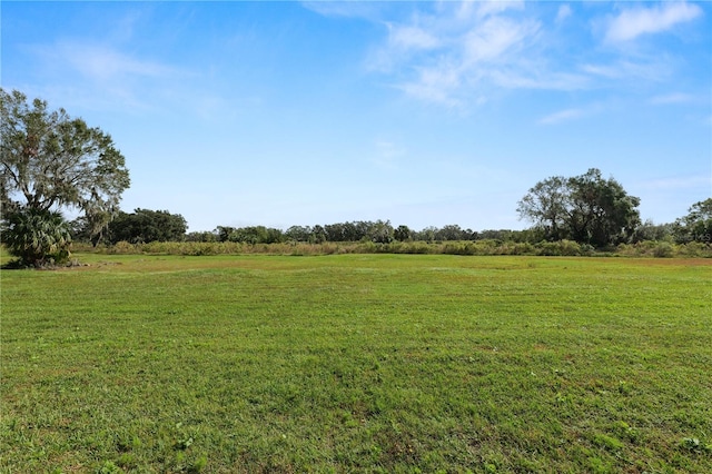 view of yard featuring a rural view