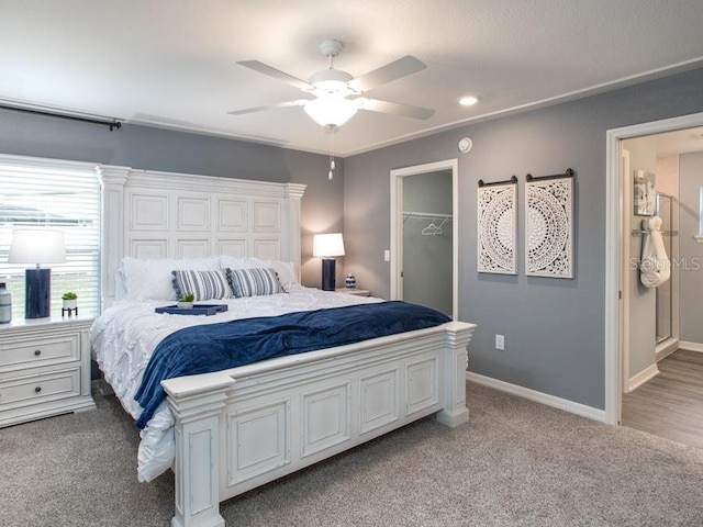 carpeted bedroom with ceiling fan, a closet, and a walk in closet