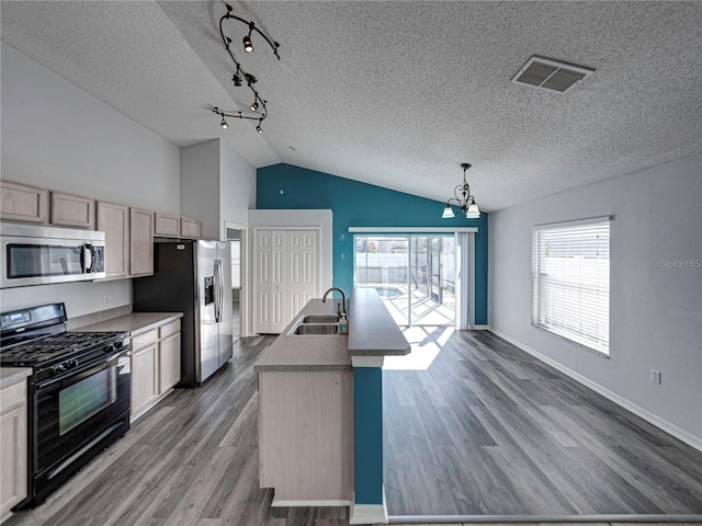 kitchen with plenty of natural light, sink, an island with sink, and appliances with stainless steel finishes