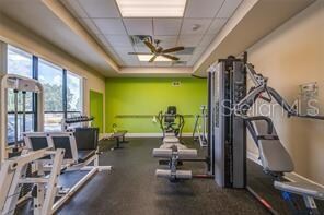 gym with a drop ceiling and ceiling fan