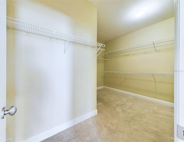 walk in closet featuring carpet floors