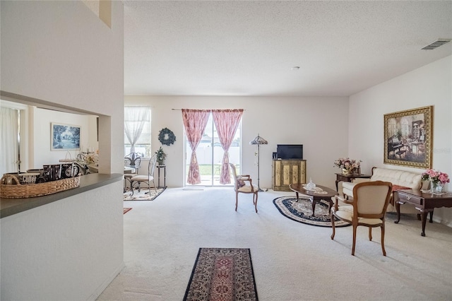 living area featuring light colored carpet and a textured ceiling