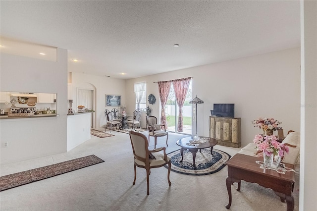 living room featuring light colored carpet and a textured ceiling