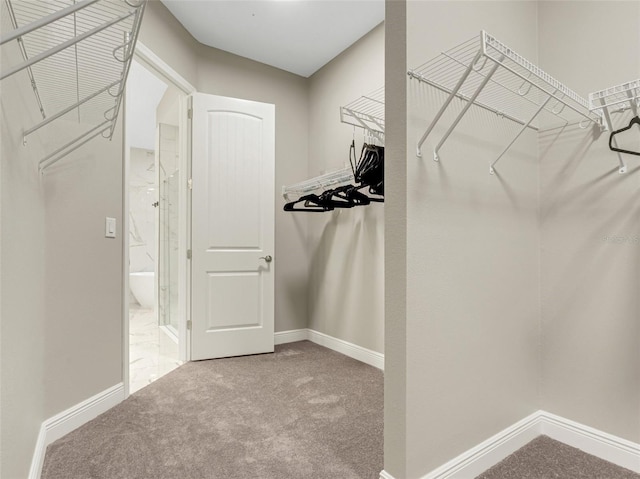 spacious closet with carpet flooring