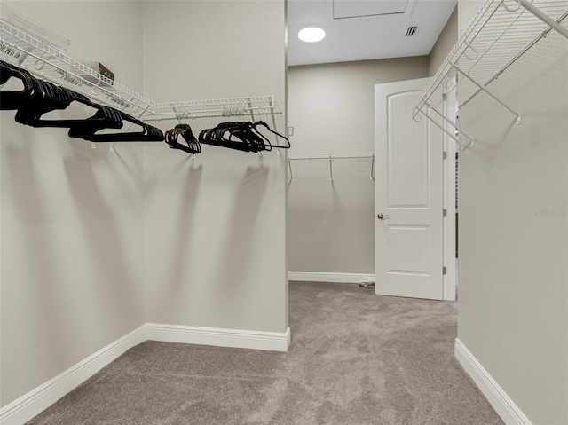 walk in closet with light colored carpet