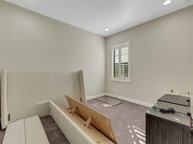 10469 Meadowrun Dr, Lithia, FL 33547 - interior space featuring carpet flooring and recessed lighting