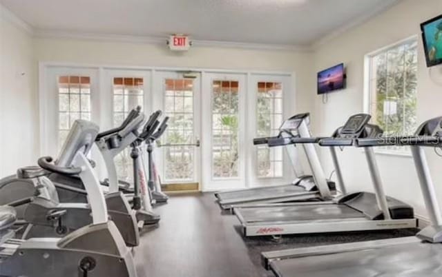 workout area with french doors, crown molding, and a healthy amount of sunlight