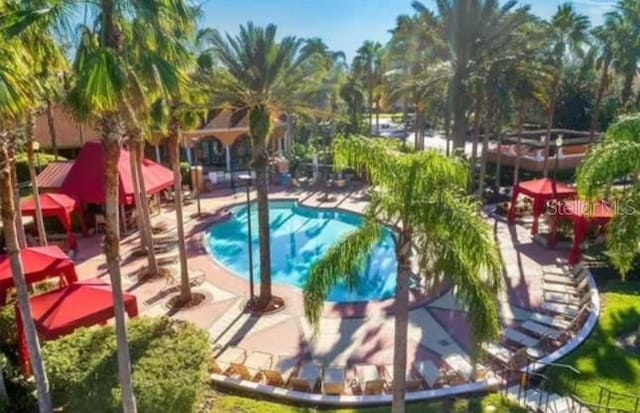 view of swimming pool with a patio