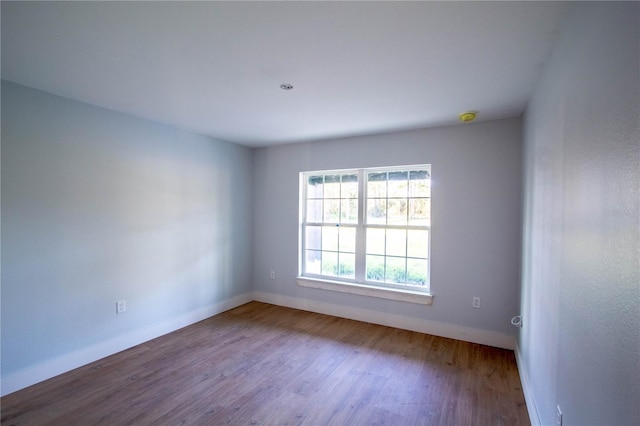 spare room featuring wood-type flooring