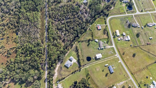 4510 Roundup Dr, Polk City, FL 33868 - photo 47