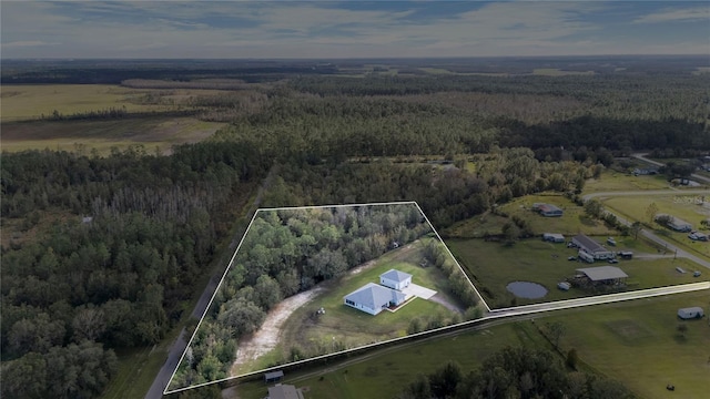 4510 Roundup Dr, Polk City, FL 33868 - photo 49